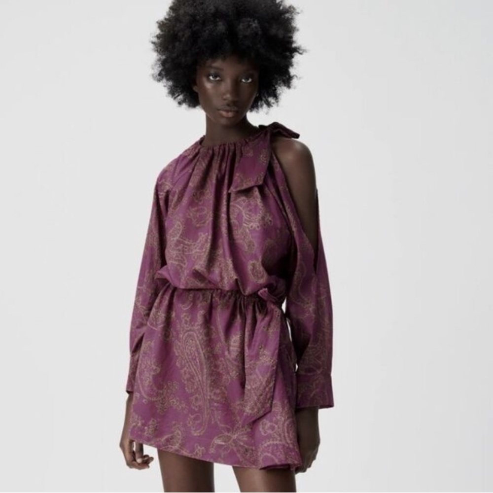 ZARA limited edition long sleeve mini dress